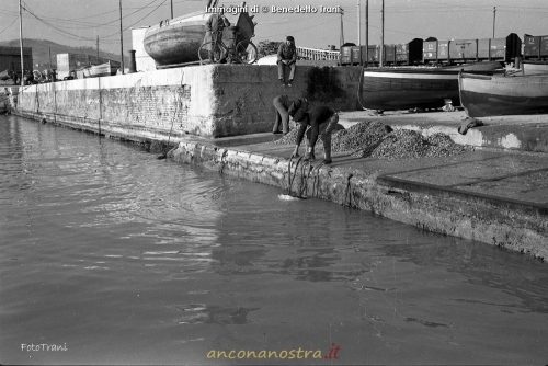 01_Benedetto Trani_Crocettari