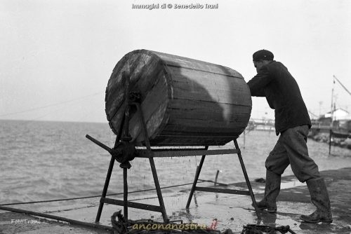 02_Benedetto Trani_Crocettari