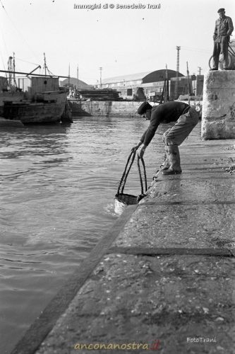 03_Benedetto Trani_Crocettari