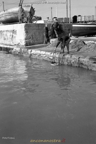 04_Benedetto Trani_Crocettari