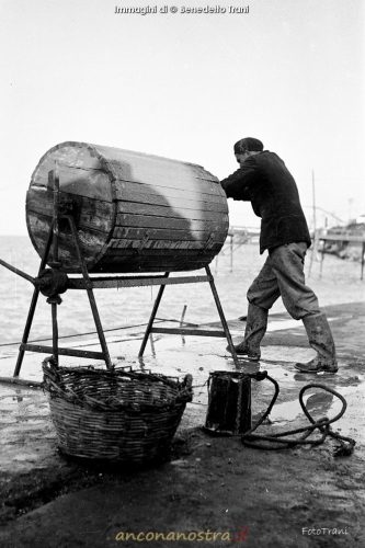 05_Benedetto Trani_Crocettari