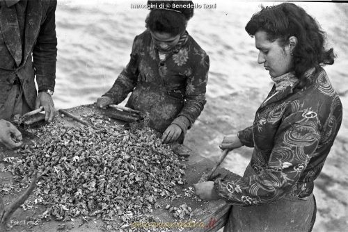 06_Benedetto Trani_Crocettari